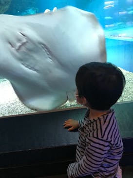 マクセル アクアパーク品川に投稿された画像（2021/11/11）