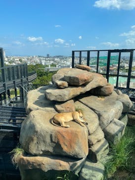 沖縄こどもの国に投稿された画像（2021/11/11）