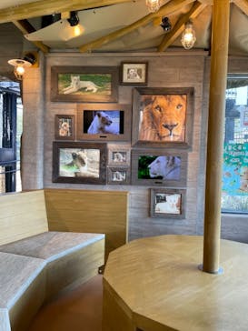 沖縄こどもの国に投稿された画像（2021/11/11）