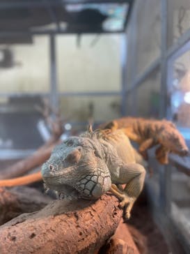 沖縄こどもの国に投稿された画像（2021/11/11）