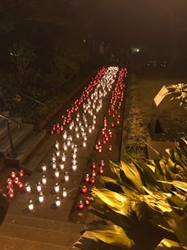 江の島シーキャンドルに投稿された画像（2021/11/11）