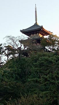 三溪園に投稿された画像（2021/11/11）