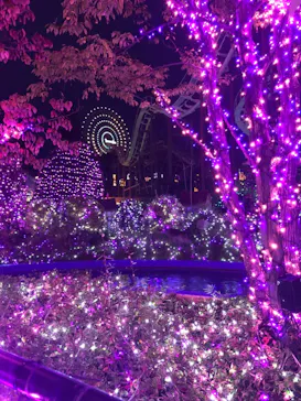 ひらかたパークに投稿された画像（2021/11/11）