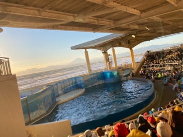 新江ノ島水族館に投稿された画像（2021/11/11）