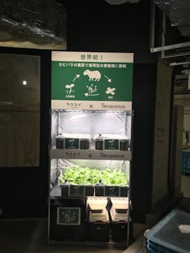 カワスイ 川崎⽔族館に投稿された画像（2021/11/11）