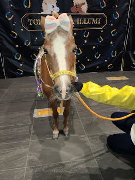 東京メガイルミに投稿された画像（2021/11/11）