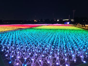 東京メガイルミに投稿された画像（2021/11/11）