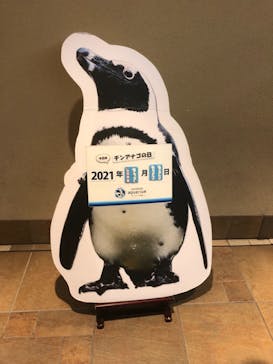 サンシャイン水族館に投稿された画像（2021/11/11）