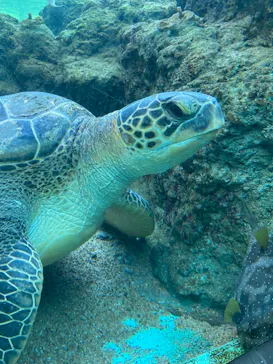 横浜・八景島シーパラダイスに投稿された画像（2021/11/11）