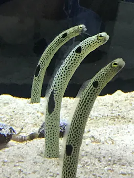 すみだ水族館に投稿された画像（2021/11/11）