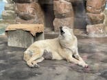 天王寺動物園に投稿された画像（2021/11/12）