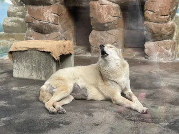 天王寺動物園に投稿された画像（2021/11/11）