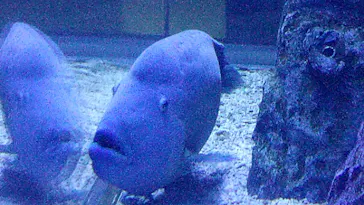 すみだ水族館に投稿された画像（2021/11/11）