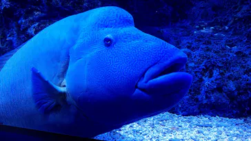 すみだ水族館に投稿された画像（2021/11/11）