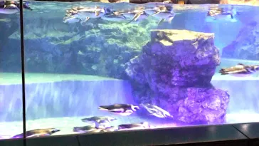 すみだ水族館に投稿された画像（2021/11/11）