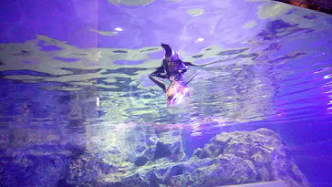 すみだ水族館に投稿された画像（2021/11/11）