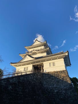 小田原城に投稿された画像（2021/11/11）