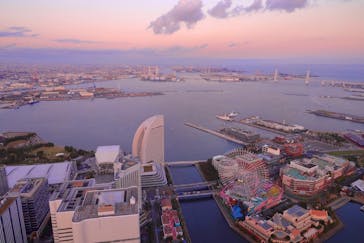 横浜ランドマークタワー 69階展望フロア スカイガーデンに投稿された画像（2021/11/11）