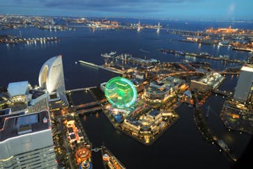 横浜ランドマークタワー 69階展望フロア スカイガーデンに投稿された画像（2021/11/11）