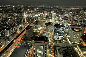 横浜ランドマークタワー 69階展望フロア スカイガーデンに投稿された画像（2021/11/11）