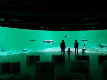 カワスイ 川崎⽔族館に投稿された画像（2021/11/11）