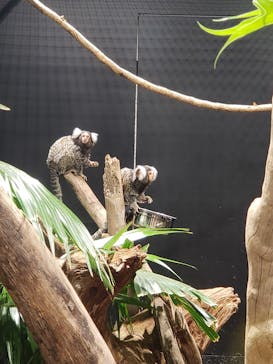 カワスイ 川崎⽔族館に投稿された画像（2021/11/11）