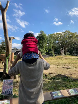 天王寺動物園に投稿された画像（2021/11/12）