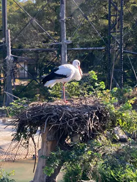 天王寺動物園に投稿された画像（2021/11/12）