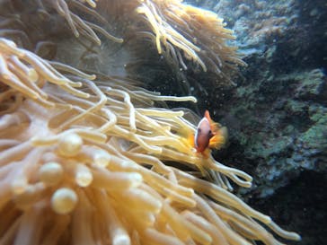 武藤潜水に投稿された画像（2021/11/12）