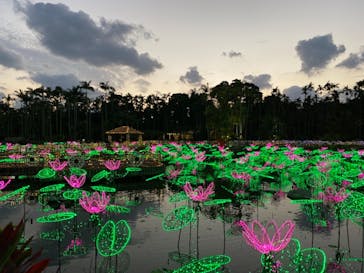 美らヤシパークオキナワ・東南植物楽園に投稿された画像（2021/11/12）