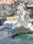 東武動物公園に投稿された画像（2021/11/12）