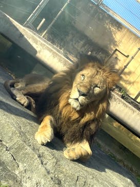 東武動物公園に投稿された画像（2021/11/12）