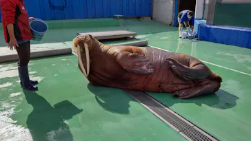 ゼロ距離水族館 伊勢シーパラダイスに投稿された画像（2021/11/12）