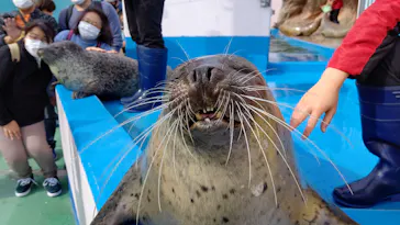 ゼロ距離水族館 伊勢シーパラダイスに投稿された画像（2021/11/12）
