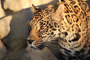 東武動物公園に投稿された画像（2021/11/12）