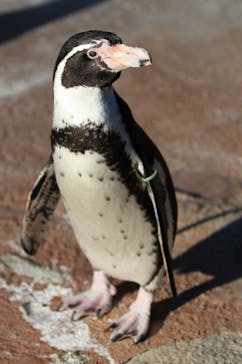 東武動物公園に投稿された画像（2021/11/12）