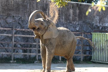 東武動物公園に投稿された画像（2021/11/12）