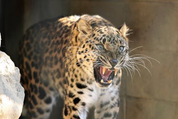 東武動物公園に投稿された画像（2021/11/12）