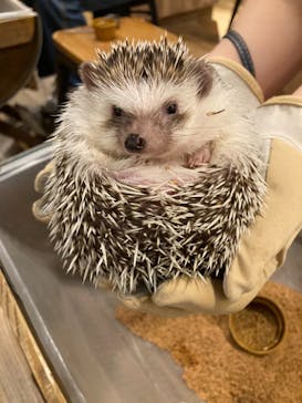 HARRY　原宿駅前店に投稿された画像（2021/11/12）