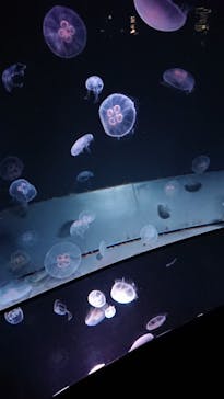 サンシャイン水族館に投稿された画像（2021/11/12）