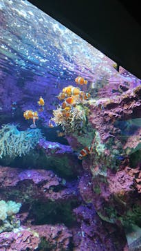 サンシャイン水族館に投稿された画像（2021/11/12）