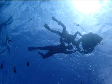 マリンクラブジジに投稿された画像（2021/11/12）