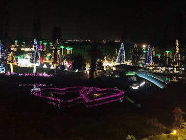 美らヤシパークオキナワ・東南植物楽園に投稿された画像（2021/11/12）