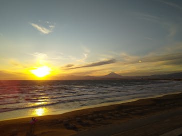 新江ノ島水族館に投稿された画像（2021/11/12）
