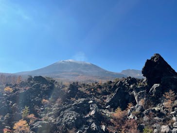 鬼押出し園に投稿された画像（2021/11/12）