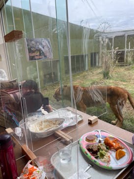 伊豆アニマルキングダムに投稿された画像（2021/11/12）