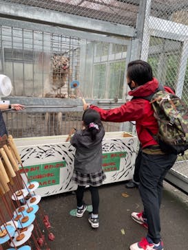 伊豆アニマルキングダムに投稿された画像（2021/11/12）