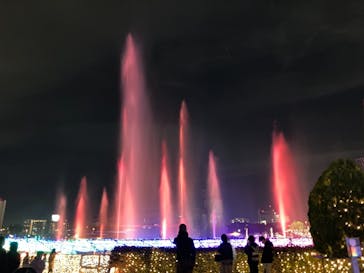 東京メガイルミに投稿された画像（2021/11/12）