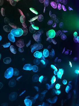 すみだ水族館に投稿された画像（2021/11/12）