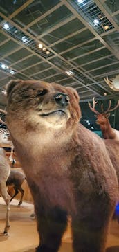 国立科学博物館に投稿された画像（2021/11/12）